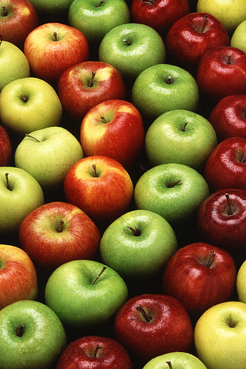 Food, Apples, Multicolored, Motley, Wet, Ripe HD phone wallpaper