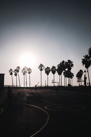 Sports, Sun, Basketball, Palms, Dark, Playground, Platform, Silhouettes HD phone wallpaper