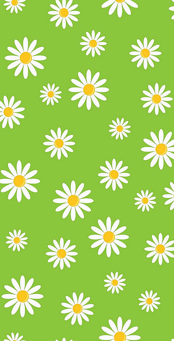 Dasiey, daisey, pattern HD phone wallpaper