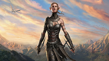 Divinity Original Sin 2 Warrior , divinity-original-sin-2, 2017-games, games, warrior HD wallpaper