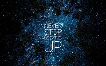 Never stop looking up, night, blue, white, black, quote, stars, tree, card, sky, silhouette HD wallpaper