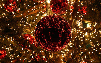 Christmas Lights Background - HD wallpaper
