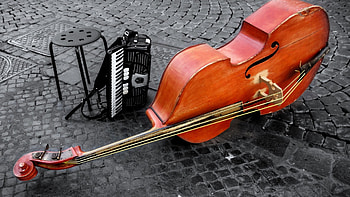 chair, Street cello accordion, Bass double accordion, And cello HD wallpaper
