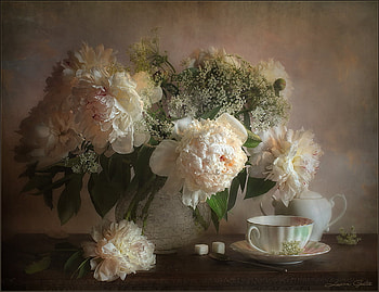 still life, bouquet, gentle, graphy, tea, nice, flower, coffee, , white, peony, vase, beautiful, cup, elegant, cool, flowers, harmony, drink HD wallpaper