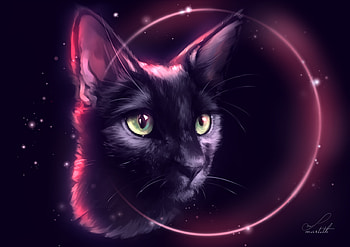 Cat Eclipse, cat, artist, artwork, digital-art, deviantart HD wallpaper