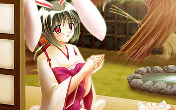 Anime, Girl, Ears, Square, Mysterious, Brunette, Sensual HD wallpaper