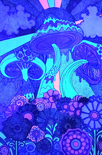 shrooms, art, trippy, light, black, glow, mushroom HD phone wallpaper