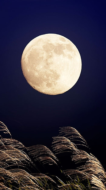 Moon, Dark Night HD phone wallpaper