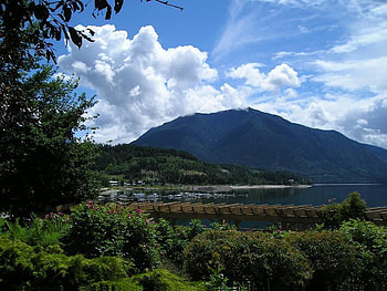 Nakusp, Canada, mountain, lake, flower, nakusp, clouds, trees, sky, canada, water HD wallpaper
