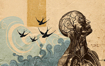 Psychology HD wallpaper