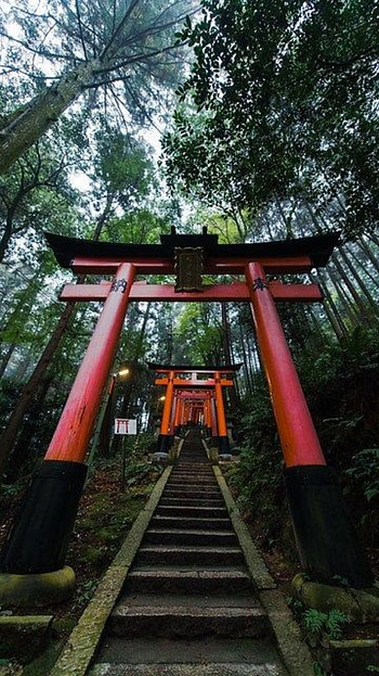 Japan, forest, natural_landscape, temple HD phone wallpaper
