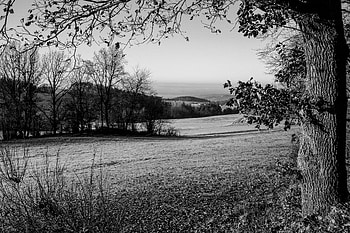 Landscape, Nature, Trees, Hills, Bw, Chb, Lawn HD wallpaper