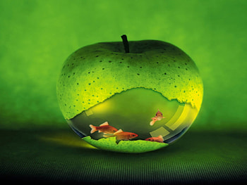 APPLE-FISHBOWL, apple, fish, bowl, green HD wallpaper