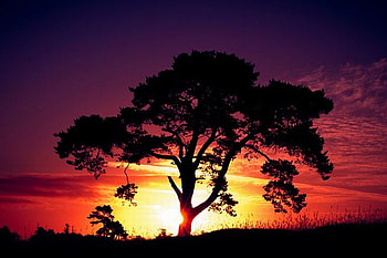 Beautiful Sunset, cool, beautiful, , sunset HD wallpaper