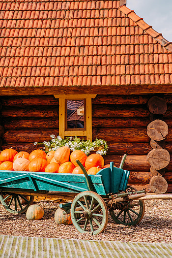 Pumpkin, Miscellanea, Miscellaneous, House, Village, Harvest, Truck, Trolley HD phone wallpaper