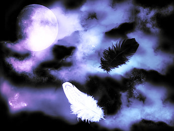 feathers, night, blue, light HD wallpaper
