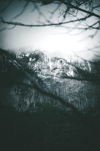 Nature, Trees, Snow, Mountain, Fog, Slope HD phone wallpaper