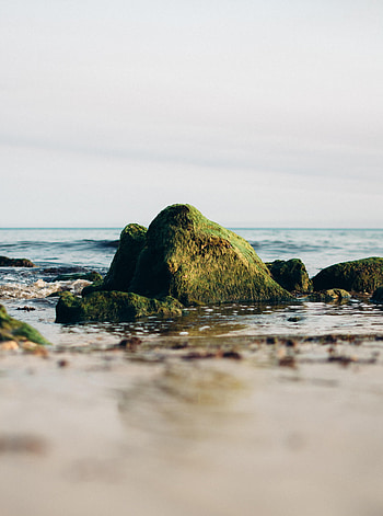 Nature, Sea, Rock, Horizon, Stone, Moss HD phone wallpaper