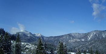 mountain, snow, many trees, blue sky, beautiful, blue sky, many trees, snow, beautiful, mountain HD wallpaper
