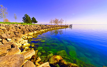 ROCKY SHORE, shore, trees, clear, rocks, ocean, stones HD wallpaper