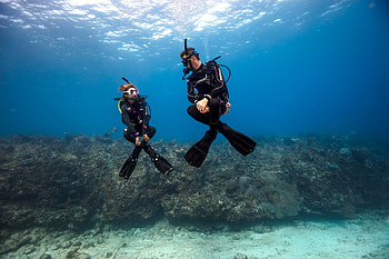 Peeing yourself in, Wetsuit myths, Scuba diving etiquette, Dive gear HD wallpaper