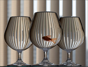 Animals, Glass, Aquarium, Fish, Glasses, Goblets HD wallpaper