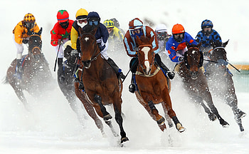 White Turf St. Moritz, Equestrian Sports HD wallpaper