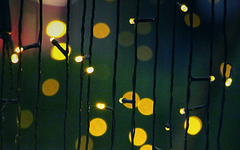 Garland light bulbs, Holiday sparkle, Festive lighting, Decorative element HD wallpaper
