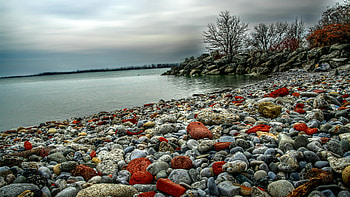 Colorful Pebbles Stones Lake Trees Nature Scenery Under Blue Sky Nature HD wallpaper