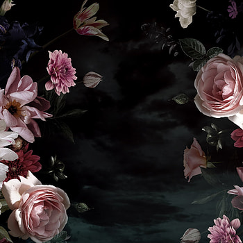 Dark flowers, art, pink HD phone wallpaper