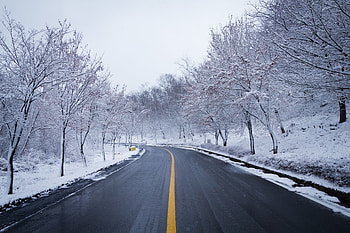 Road in winter, nature, trees HD wallpaper