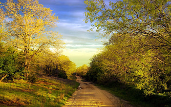 Nature, Trees, Road, Spring, Dirt, Country, Puddles, Countryside, Unpaved HD wallpaper