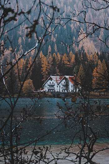 Nature, Autumn, Lake, Branches, Small House, Lodge HD phone wallpaper