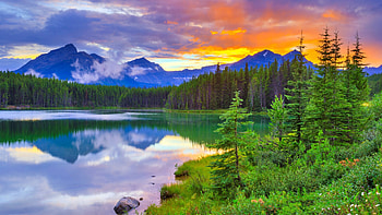 Herbert Lake, Banff NP, Alberta, trees, colors, clouds, sky, water, canada, mountains, reflections, landscape HD wallpaper
