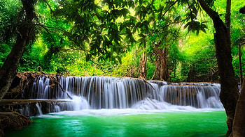 Tropical Waterfall, trees, river, cascade, forest HD wallpaper