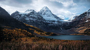 Autumn colors and Mt Assiniboine, peaks, british columbia, fall, colors, trees, canada, forest HD wallpaper