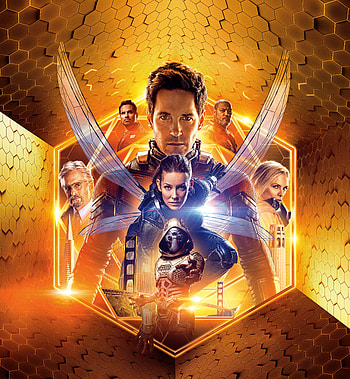 Ant-man and The Wasp, movie, poster HD phone wallpaper