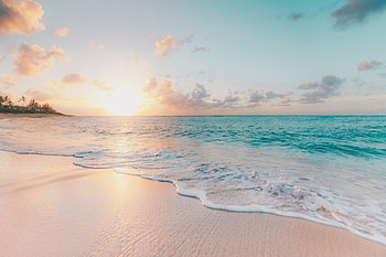 Summer , Tropical paradise, Sunny vibes HD wallpaper