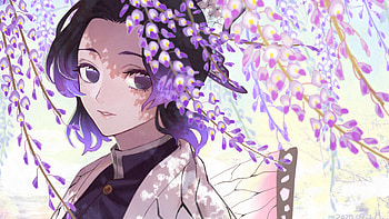 Shinobu Kochou Demon Slayer Kimetsu no Yaiba HD wallpaper