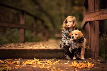 Little Girl With Golden Retriever Puppy, little-girl, labrador-retriever, dog, animals, labrador, cute, children HD wallpaper