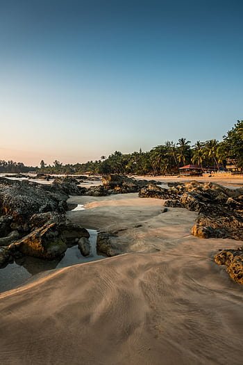 Serene coastal landscape of Myanmar with palm trees and rocks, captured at sunrise. HD phone wallpaper