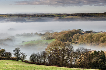 Landscape, Nature, Trees, Fog, Hills HD wallpaper