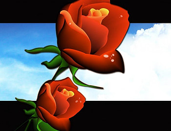 Roses, sky, abstract HD wallpaper