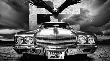 Spread Your Wings, cars, eagle, black-and-white, monochrome, artist, artwork, digital-art HD wallpaper