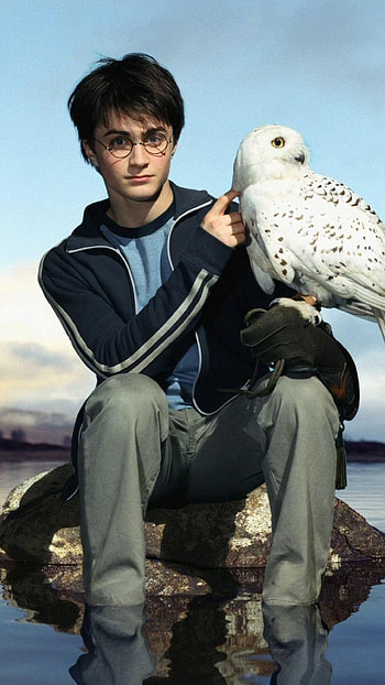 Daniel Radcliffe, Hedwig, , Movies HD phone wallpaper