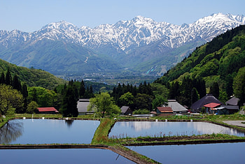 Hakuba Village, scenery, japan, fields, nature, japanes, village, rice, mountain HD wallpaper