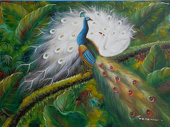 Peacocks, pracock, white, painting, paun, bird, art, pictura, green HD wallpaper