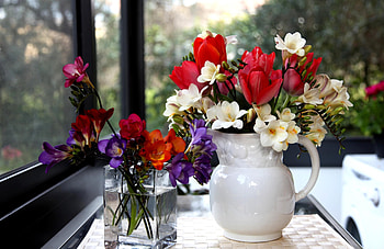Flowers, Tulips, Beauty, Jug, Glass, sia HD wallpaper