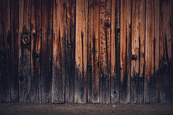 Wood, Tree, Texture, Textures, Fence, Planks, Board HD wallpaper