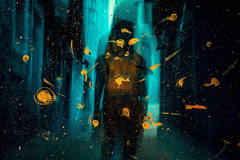 Abstract, Drops, Silhouette, Spray, Paint, Glass HD wallpaper